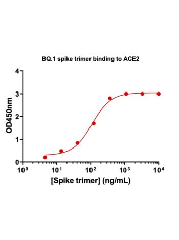 Concentration–response curves for binding of CoV2 spike protein to human ACE2 in cell-free ELISA-type assays. Microtiter wells were coated with 100 uL of ACE2-Fc at 2 ug/mL in PBS at 4˚C overnight. The wells were washed with PBS and blocked with 200 µL of