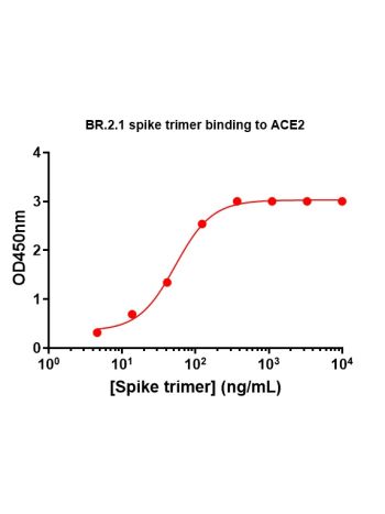 Concentration–response curves for binding of CoV2 spike protein to human ACE2 in cell-free ELISA-type assays. Microtiter wells were coated with 100 uL of ACE2-Fc at 2 ug/mL in PBS at 4˚C overnight. The wells were washed with PBS and blocked with 200 µL of