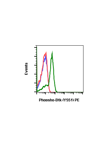 Phospho-Btk (Tyr551) (G12) rabbit mAb PE conjugate
