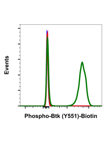 Flow cytometric analysis of Ramos cells secondary antibody only negative control (blue) or untreated (red) or treated with pervanadate (green) using Phospho-Btk (Tyr551) antibody BtkY551-G12-Biotin conjugate at 0.1 µg/mL. Cat. #2341B.