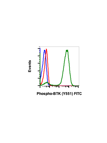 Phospho-Btk (Tyr551) (G12) rabbit mAb FITC conjugate