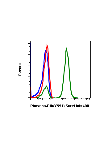 Phospho-Btk (Tyr551) (G12) rabbit mAb SureLight488 conjugate