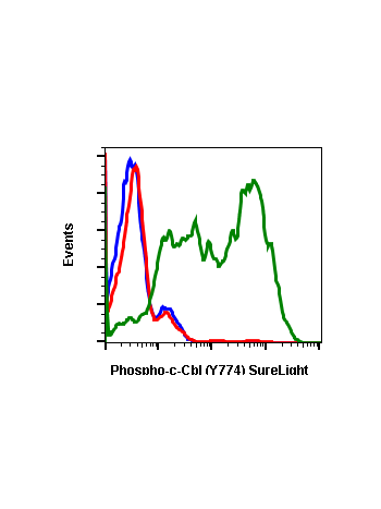 Phospho-c-Cbl (Tyr774) (R3B8) rabbit mAb SureLight488 conjugate