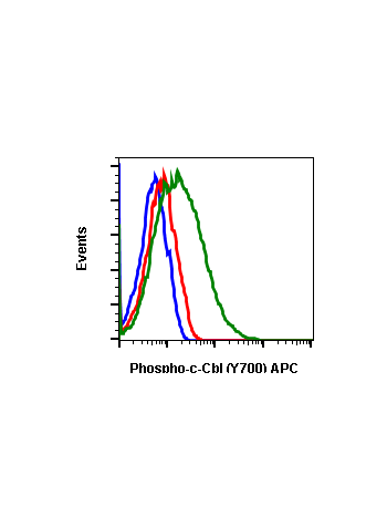 Phospho-c-Cbl (Tyr700) (E1) rabbit mAb APC conjugate