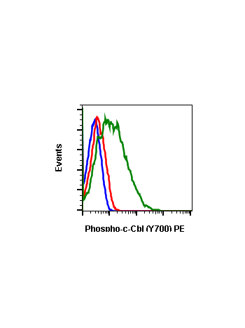 Phospho-c-Cbl (Tyr700) (E1) rabbit mAb PE conjugate