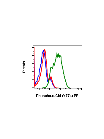 Phospho-c-Cbl (Tyr774) (R3B8) rabbit mAb PE conjugate