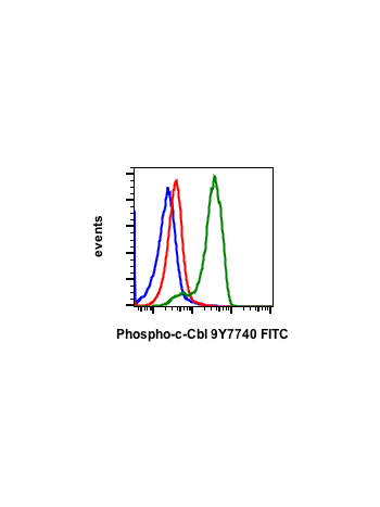 Phospho-c-Cbl (Tyr774) (R3B8) rabbit mAb FITC conjugate