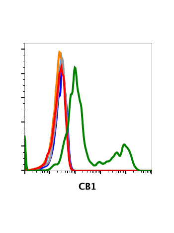 Flow cytometric analysis of HEK293 cells transfected with CB1 (green) or untransfected (red) using CB1-H6 antibody at 0.1 ug/mL (Cat. #2521). Isotype control antibody tested under identical conditions does not show staining to transfected (orange) or untr