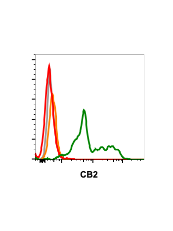 Flow cytometric analysis of HEK293 cells transfected with CB2 (green) or untransfected (red) using CB2-R4F4 antibody at 0.1 ug/mL (Cat. #2561). Isotype control antibody tested under identical conditions does not show staining to transfected (orange) or un