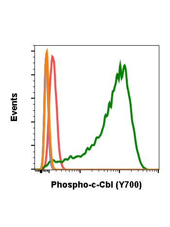 Phospho-c-Cbl (Tyr700) (E1) rabbit mAb