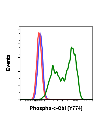 Phospho-c-Cbl (Tyr774) (R3B8) rabbit mAb