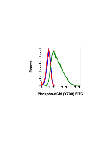 Flow cytometric analysis of C6 cells cell treated with imatinib and unstained as negative control (blue) or treated with imatinib (red) or with pervanadate (green) and stained using Phospho-c-Cbl (Tyr700) FITC conjugated antibody CblY700-E1. Cat. #2323.