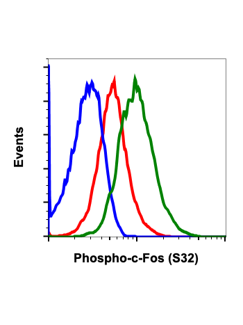 Phospho-c-Fos (Ser32) (BA9) rabbit mAb