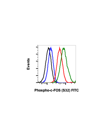 Phospho-c-Fos (Ser32) (BA9) rabbit mAb FITC Conjugate