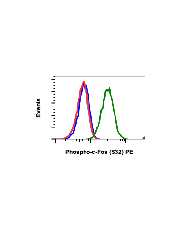 Phospho-c-Fos (Ser32) (BA9) rabbit mAb PE Conjugate