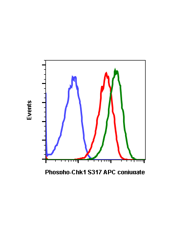 Phospho-Chk1 (Ser317) (F10) rabbit mAb APC conjugate