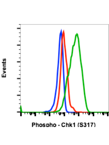 Phospho-Chk1 (Ser317) (F10) rabbit mAb