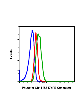 Phospho-Chk1 (Ser317) (G1) rabbit mAb PE conjugate