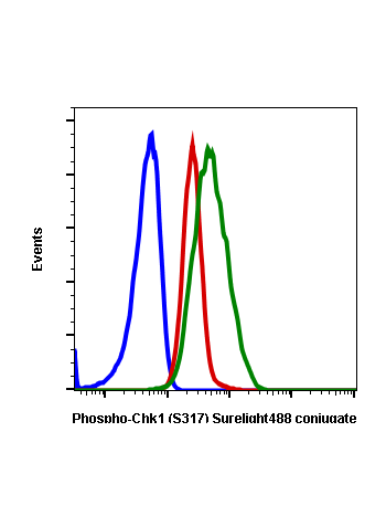 Phospho-Chk1 (Ser317) (G1) rabbit mAb SureLight® 488 conjugate