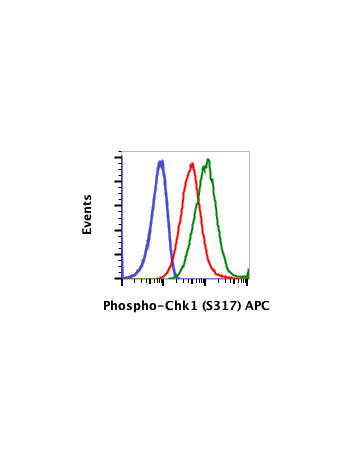 Phospho-Chk1 (Ser317) (G1) rabbit mAb APC conjugate