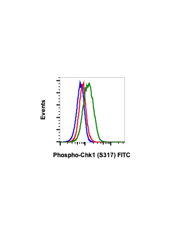 Phospho-Chk1 (Ser317) (G1) rabbit mAb FITC conjugate