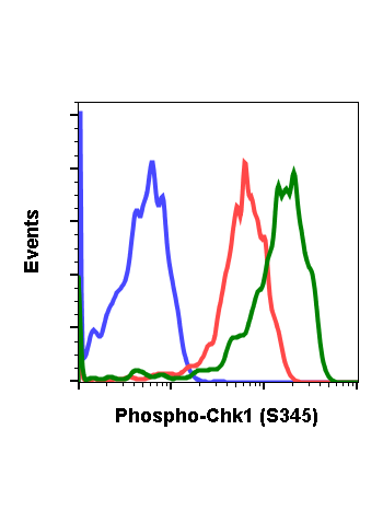 Phospho-Chk1 (Ser345) (R3F9) rabbit mAb