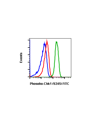 Phospho-Chk1 (Ser345) (R3F9) rabbit mAb FITC conjugate