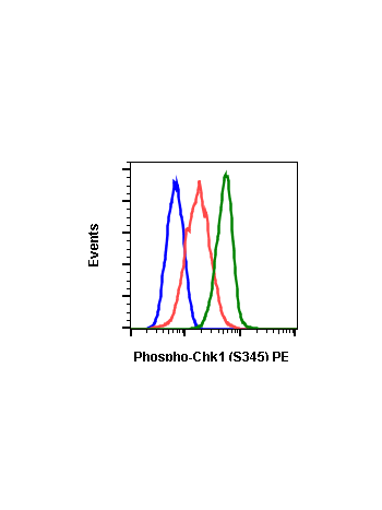 Phospho-Chk1 (Ser345) (R3F9) rabbit mAb PE conjugate