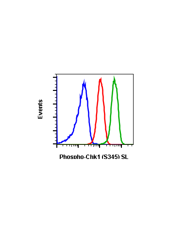 Phospho-Chk1 (Ser345) (R3F9) rabbit mAb SureLight488 conjugate