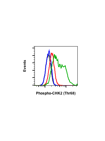 Phospho-Chk2 (Thr68) (D12) rabbit mAb