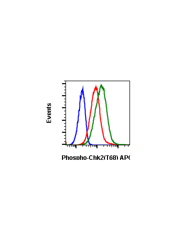 Phospho-Chk2 (Thr68) (D12) rabbit mAb APC conjugate