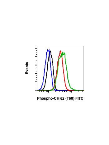 Phospho-Chk2 (Thr68) (D12) rabbit mAb FITC conjugate