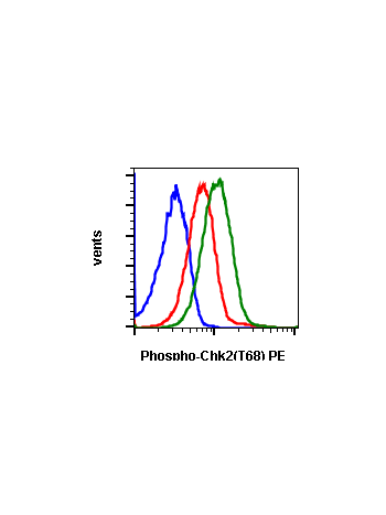 Phospho-Chk2 (Thr68) (D12) rabbit mAb PE conjugate