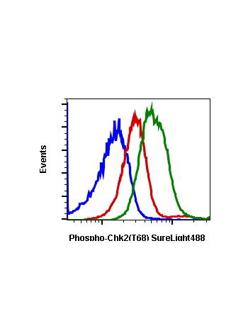 Phospho-Chk2 (Thr68) (D12) rabbit mAb SureLight488 conjugate