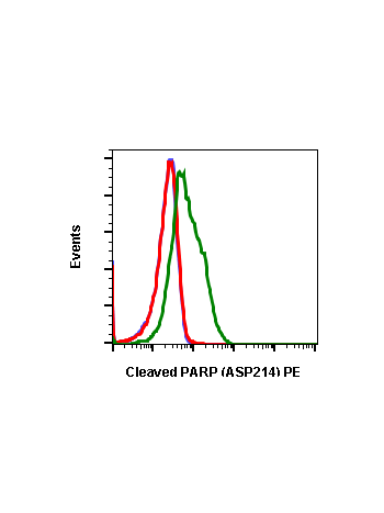 Flow cytometric analysis of SK.N.MC cells unstained and untreated as negative control (blue) or stained untreated (red) or treated with staurosporine (green) using Cleaved PARP Asp214 antibody PARP-H8 APC conjugate at 0.5 µg/mL. Cat. #2334.