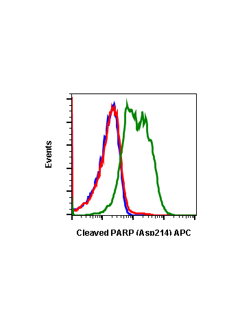 Flow cytometric analysis of SK.N.MC cells secondary antibody only negative control (blue) or untreated (red) or treated with staurosporine (green) using PARP Cleaved Asp214 antibody PARP-H8 at 0.1 µg/mL. Cat. #2331.
