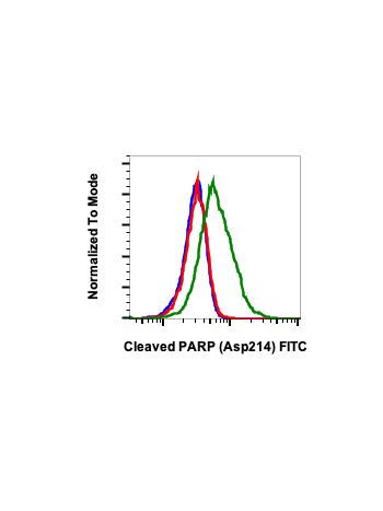 Cleaved PARP (Asp214) (H8) rabbit mAb FITC conjugate