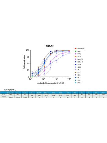 Surrogate virus neutralization test (sVNT): ACE2 protein (Cat#2566) was coated at 2 µg/mL. CR3-C2 was serially diluted and incubated with 48 ng/mL of spike trimers at room temperature for 1 hour. The mixture was then added to blocked wells and incubated a