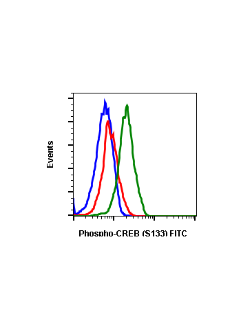 Phospho-CREB (Ser133) (4D11) rabbit mAb FITC conjugate