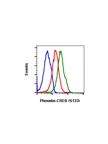 Phospho-CREB (Ser133) (4D11) rabbit mAb PE conjugate