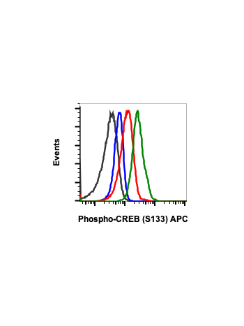 Phospho-CREB (Ser133) (4D11) rabbit mAb APC conjugate