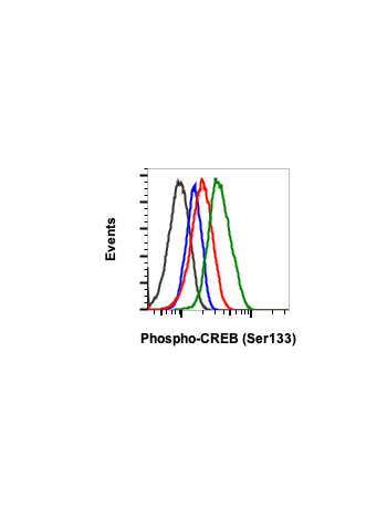 Flow cytometric analysis of SK-N-MC cells untreated (red) or treated with forskolin (green) using Phospho-CREB (Ser133) (4D11) Rabbit mAb CREBS133-4D11 at 0.01 ug/mL #2126, or concentration-matched Rabbit (G9) mAb IgG Isotype Control #2141 for cells untre