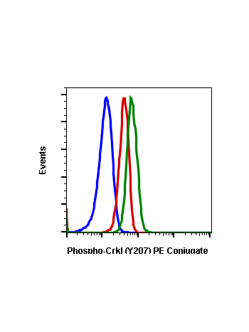 Phospho-CrkL (Tyr207) (G4) rabbit mAb PE conjugate