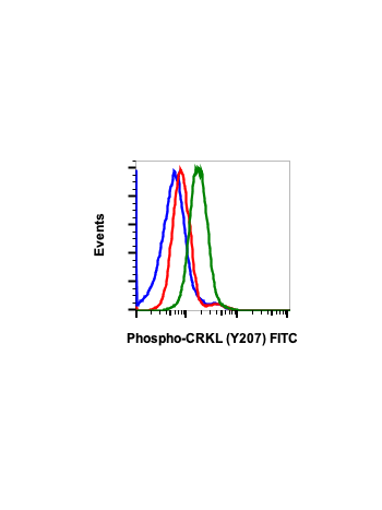 Phospho-CrkL (Tyr207) (G4) rabbit mAb FITC conjugate