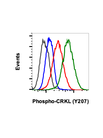 Flow cytometric analysis of K562 cells treated with imatinib (red) or treated with pervanadate (green) using Phospho-CRKL (Tyr207) (G4) Rabbit mAb CRKLY207-G4 #2091 at 0.05 ug/mL, or concentration-matched Rabbit (G9) mAb IgG Isotype Control #2141 for cell