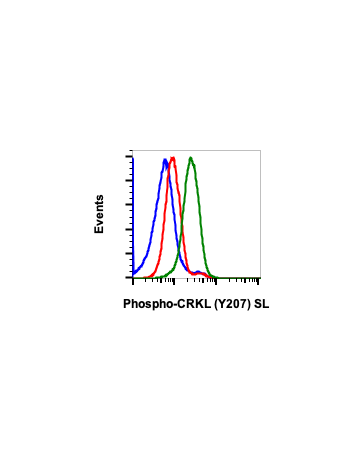 Phospho-CrkL (Tyr207) (G4) rabbit mAb SureLight488 Conjugate