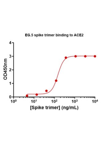 Concentration–response curves for binding of CoV2 spike protein to human ACE2 in cell-free ELISA-type assays. Microtiter wells were coated with 100 uL of ACE2-Fc at 2 ug/mL in PBS at 4˚C overnight. The wells were washed with PBS and blocked with 200 µL of