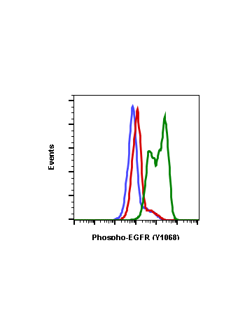 Phospho-EGFR (Tyr1068) (E5) rabbit mAb APC conjugate