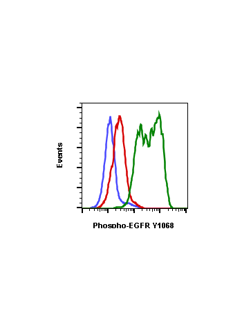 Phospho-EGFR (Tyr1068) (E5) rabbit mAb PE conjugate