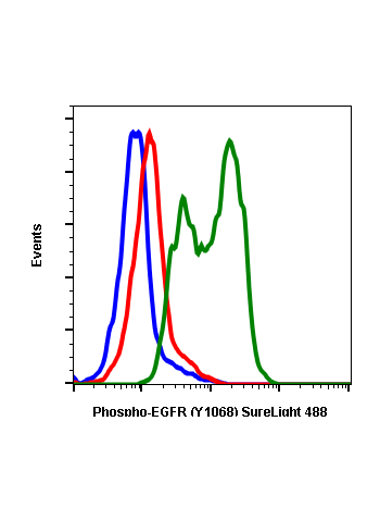 Phospho-EGFR (Tyr1068) (E5) rabbit mAb SureLight®488 conjugate